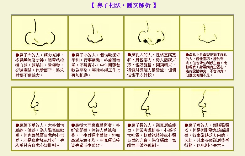 鼻子面相大全图文解说