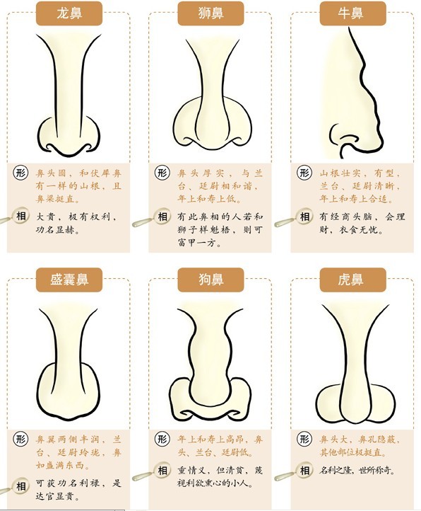 相术大全图解后脑勺图片